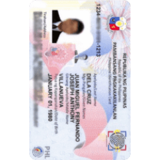 Philippines Certificate of Identity and Registration Photo