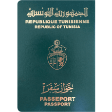 Turkish Passport Photo