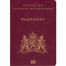 Dutch Passport Photo
