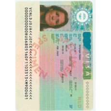 Фото на визу шенген