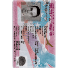 US EAD Card Photo