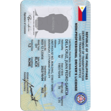 Philippines Driving License Photo