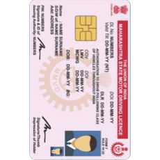 India Driving Licence Photo