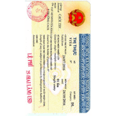Vietnam Visa Photo